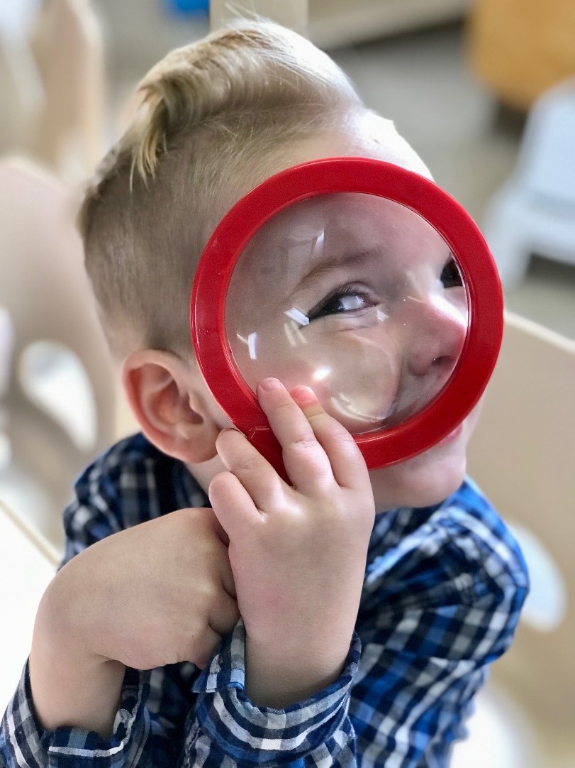 magnifier